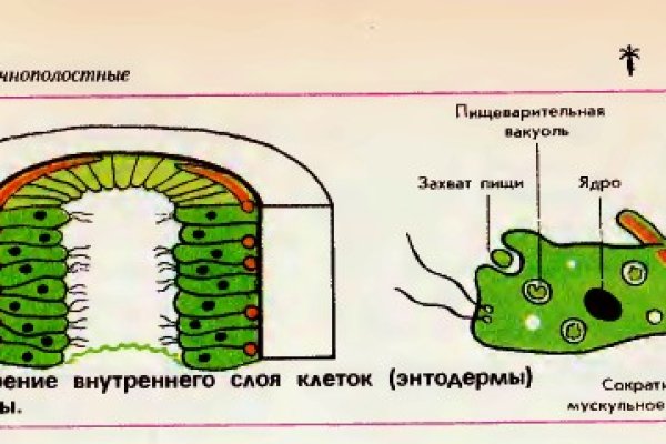 Сайт кракен kraken