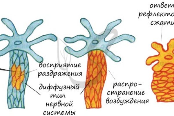 Даркнет официальный сайт на русском