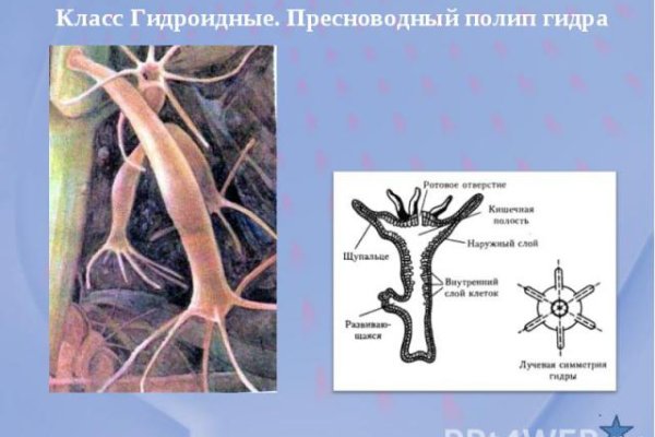 Ссылка на кракен 11