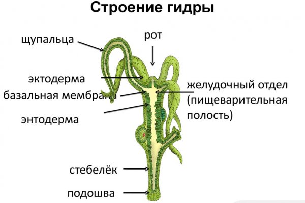 Kraken официальные зеркала