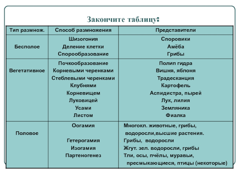 Как зайти на кракен через айфон