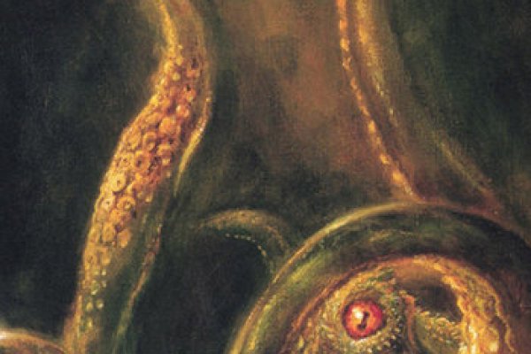 Kraken 12at зеркало