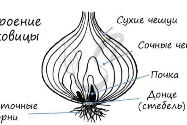 Kraken 14at сайт